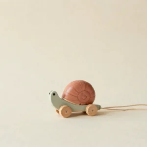 Winding Path Snail
